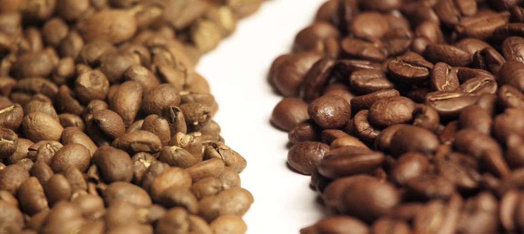 saka differenze caffè arabica robusta
